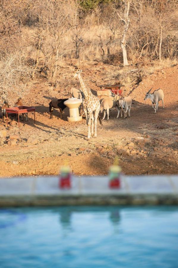 Tholo Manzi Private Game Farm Villa Zeerust Luaran gambar